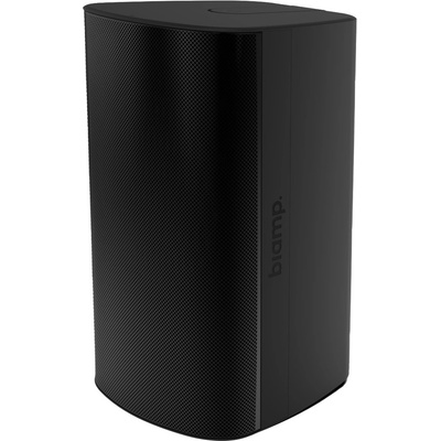 Biamp Desono EX-S10SUB
