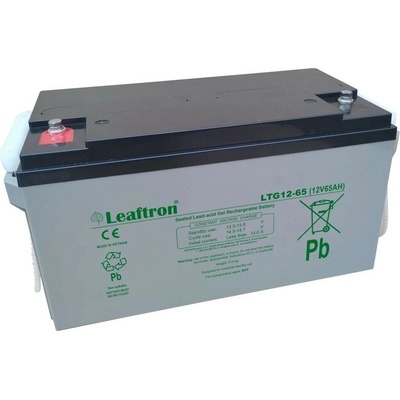 Leaftron 12V 65Ah