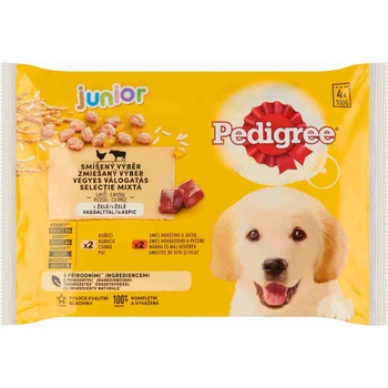 Pedigree Junior kura ryža hovädzina ryža v želé 4 x 100 g