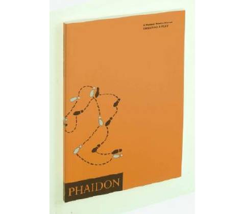 Directing a Play - Michael McCaffery