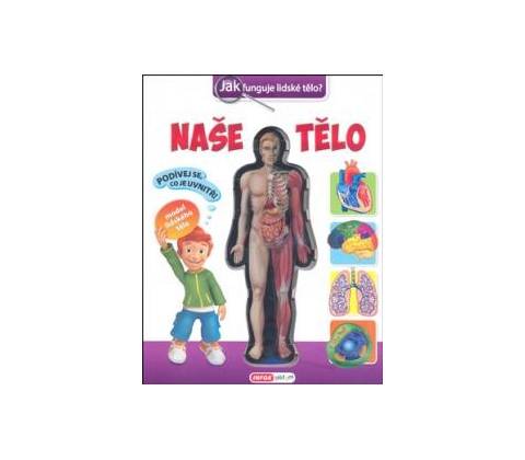 Naše tělo