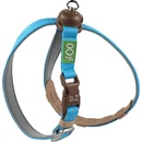 Dog Fantasy Postroj LED