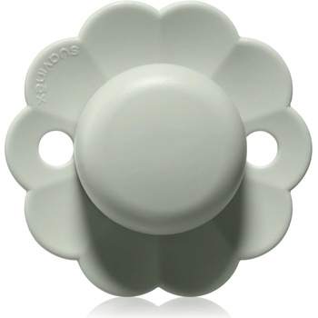 Suavinex Wonder SX Pro Physiological 6-18 m биберон Almost Aqua