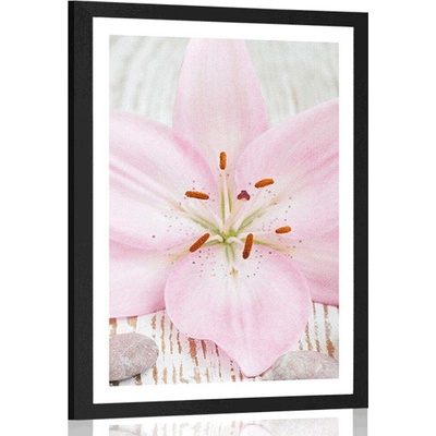 Plakát s paspartou růžová lilie a Zen kameny - 30x45 black
