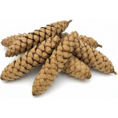 3481 Strobus 15-20cm natur 12ks