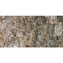 Lucky Reptile Natural Cork Background New drsné 60x30 cm