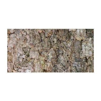 Lucky Reptile Natural Cork Background New drsné 60x30 cm