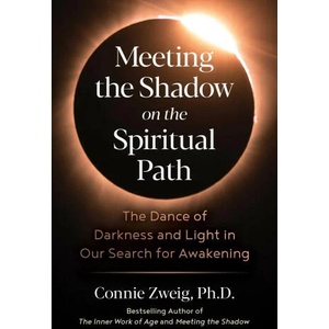 Meeting the Shadow on the Spiritual Path | Connie Zweig (ISBN: 9781644117224)