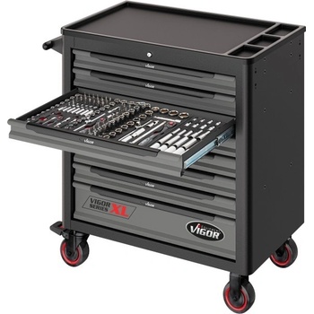 Vigor V4542