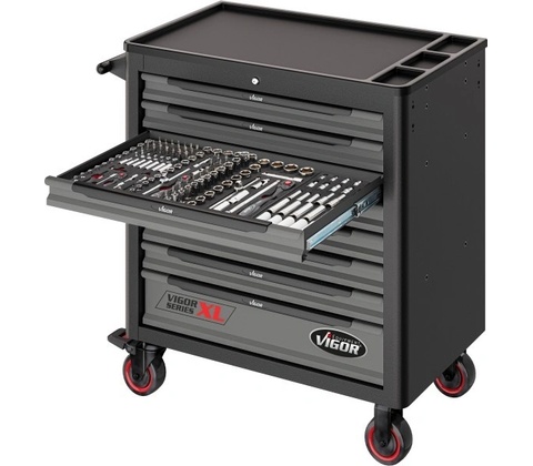 Vigor V4542