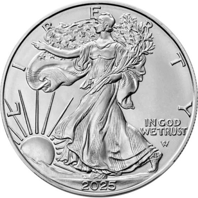American Eagle stříbrná mince 2025 1 oz – Sleviste.cz