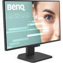 BenQ GW2490C