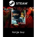 Ninja Guy
