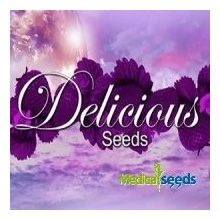 Delicious Seeds Northern Light Blue THC Free semena neobsahují THC 1 ks