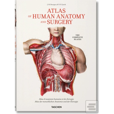 Bourgery, Atlas of Human Anatomy and Surgery - Jean-Marie Le Minor
