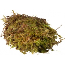 HabiStat Sphagnum Moss 250 g