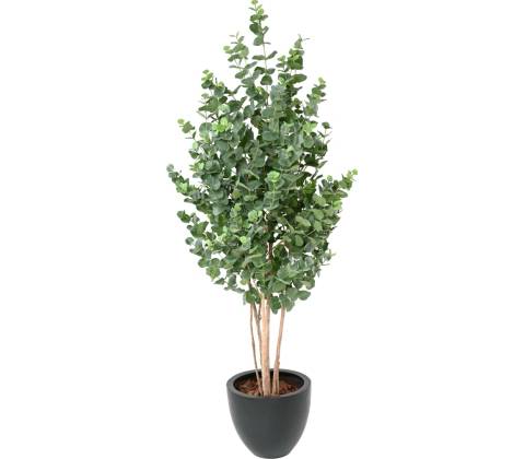 Umelý strom- Eukalyptus 180cm