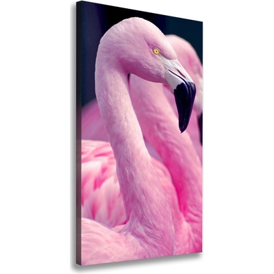 Vertikálny foto obraz na plátne do obývačky Plameňáci 50x100 cm