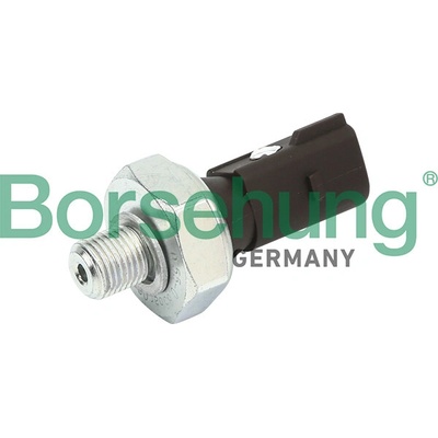 BORSEHUNG Olejový tlakový spínač B13137