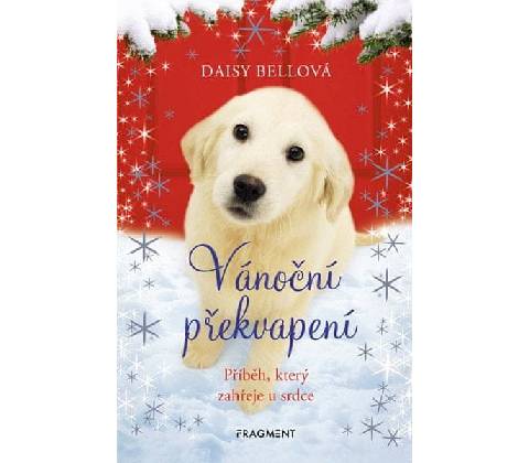 Vánoční překvapení