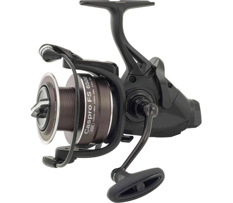 Ryobi Caspro FS 5500