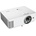 Vivitek DX335-ST