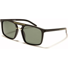 Polarized PZ-713066s4