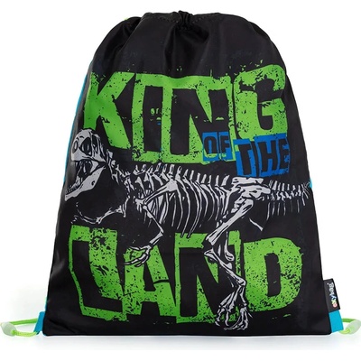Karton Prémium Dinosaurus 3-09723