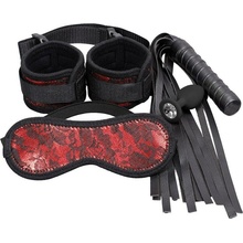 Erospace BDSM set Wild Play C7