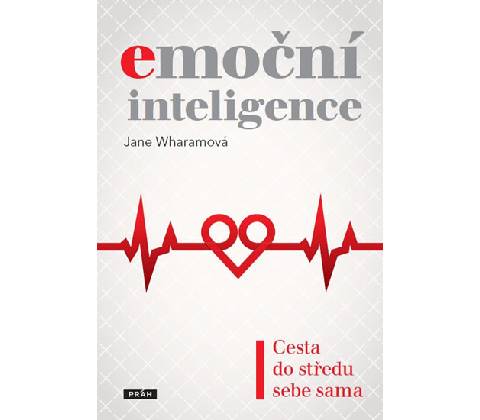 Emoční inteligence