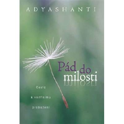 Pád do milosti - Adyashanti