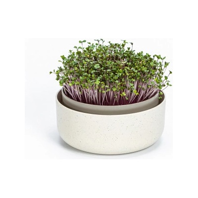 Klíčící miska MICROGREENS - slonová kost s kávovou sedlinou