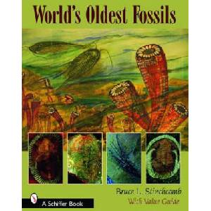World's Oldest Fossils | Bruce L. Stinchcomb (ISBN: 9780764326974)