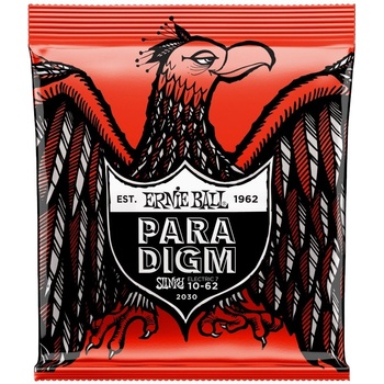 Ernie Ball 2030