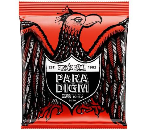 Ernie Ball 2030