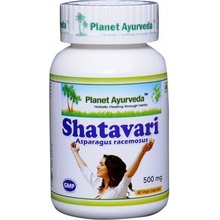 Planet Ayurveda Shatavari extrakt 4:1 500 mg 60 kapslí