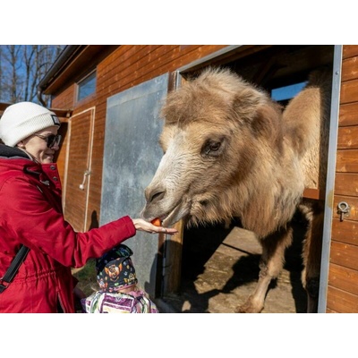 VIP vstup do Zoo Tábor s ošetřovatelem až pro 4 osoby