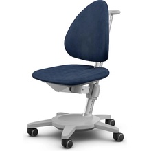 Moll Maximo Grey Navy
