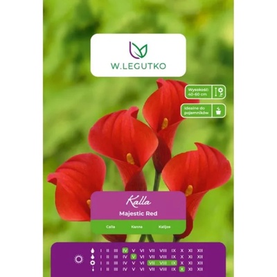 W. Legutko Кала Маджестик Ред червен 1 бр