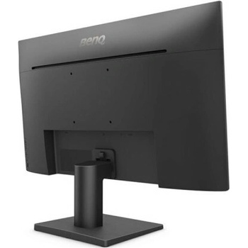 BenQ GW2491
