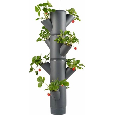 Gusta Garden GG-101538