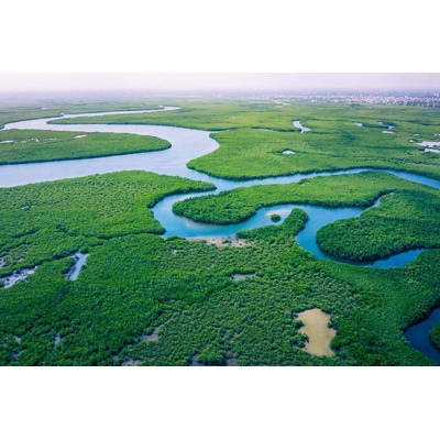 DIMEX ART Флизелинов фототапет мангрова гора гора 375 x 250 см