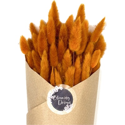 Sušený lagurus (králičí ocásek) oranžový 45g