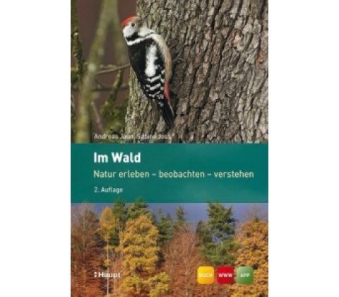 Im Wald