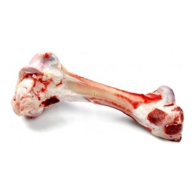 Do psí misky Hovězí morková kost na okus cca 40-60cm