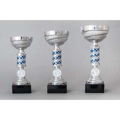Stříbrnomodrý sportovní pohár s kovovou trubkou 19 23 cm 19 cm