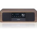 Blaupunkt MS22BT