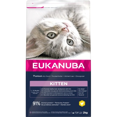 Eukanuba Cat Kitten Healthy Start Chicken 2 Kg