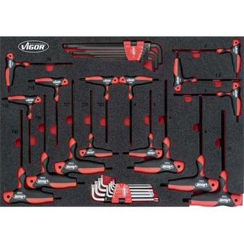Vigor V5175