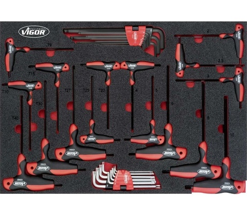 Vigor V5175